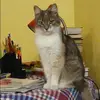 Отзыв от Эльмира Макарова